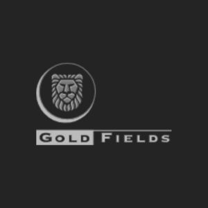 Hagstrom Client logosGold Fields