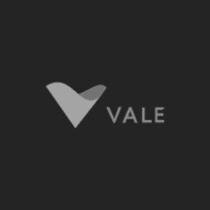 Hagstrom Client logosVale