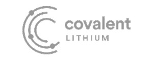 covalent
